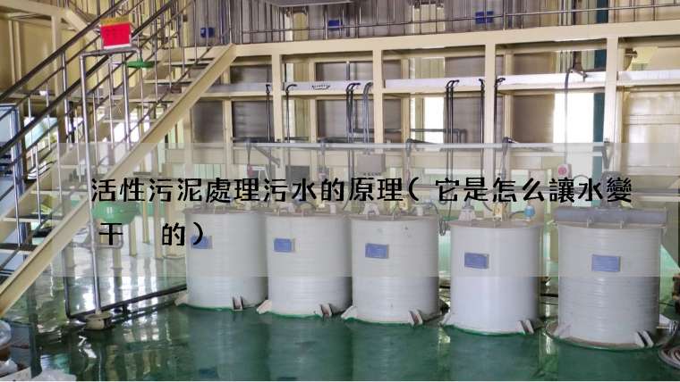 活性污泥處理污水的原理(它是怎么讓水變干凈的)